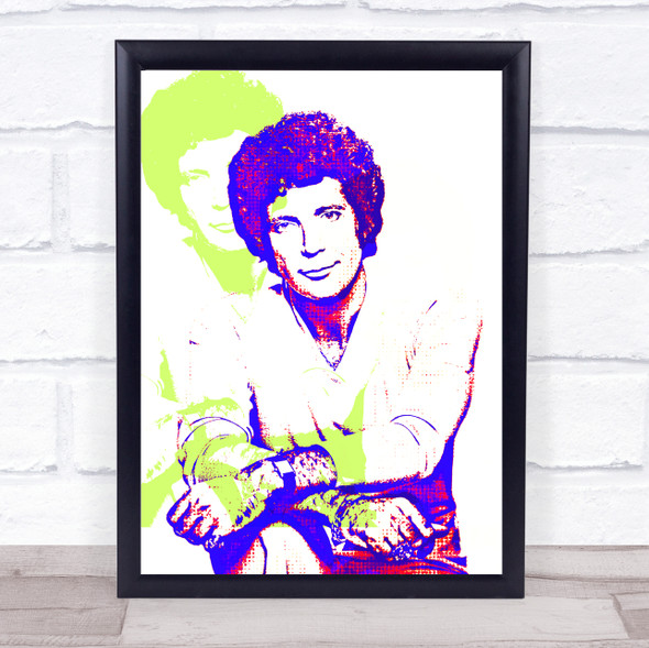 Tom Jones Green & Blue Retro Pop Art Wall Art Print