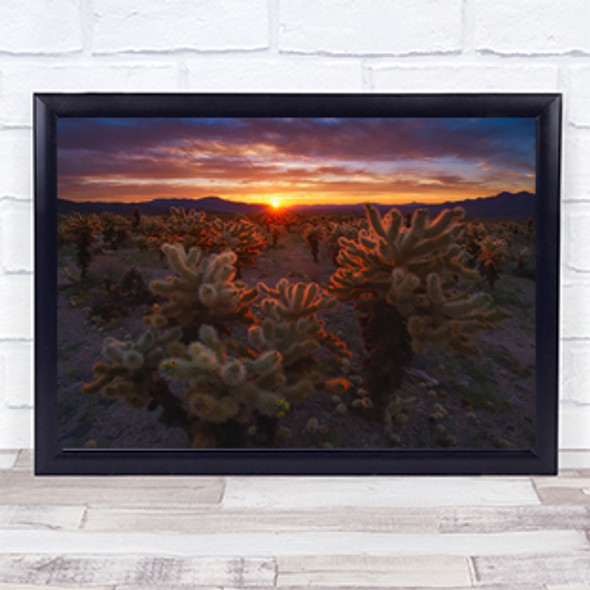 Cholla Garden Joshua Tree National Park California USA United States Art Print