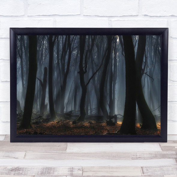 Dancing Trees Forest Beech forest Fog Sunlight Dark Sinister Mist Wall Art Print