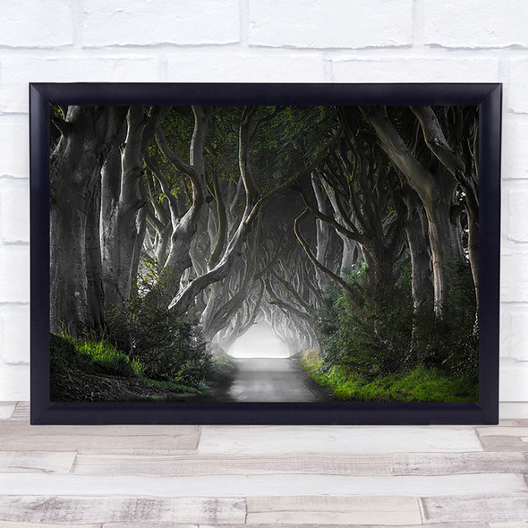 Dark Hedges Trees Light Sunrise Fog Fantasy Road Way Journey Wall Art Print