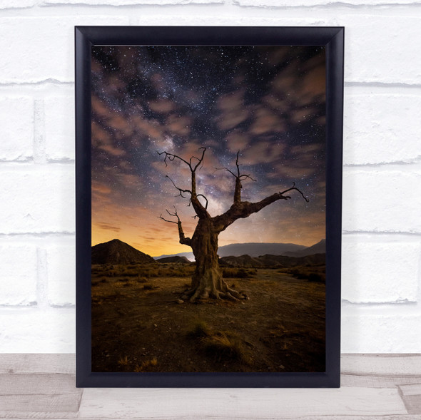 Deserted Tree Lonely Stars Starry Sky Wall Art Print