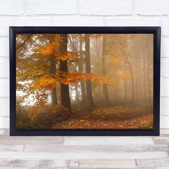 Edge Of The Woods Fall Autumn Germany Leaves Forest Foliage Wall Art Print