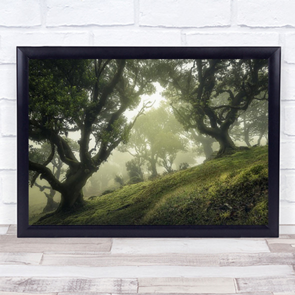 Enchanted Forest Madeira Fog Laurisilva Mist Haze Green Woods Trees Art Print