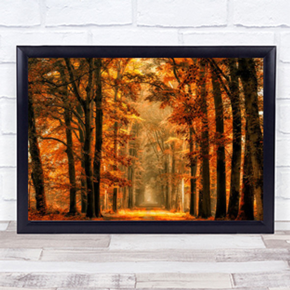 Exit The Portal Majestic Trunks Trees Tall High Gold Golden Leaf Wall Art Print