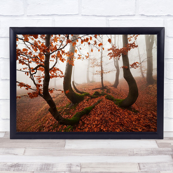 Fairy-tale Forest Beech Light Autumn Fall Trees Atmosphere Beeches Red Art Print
