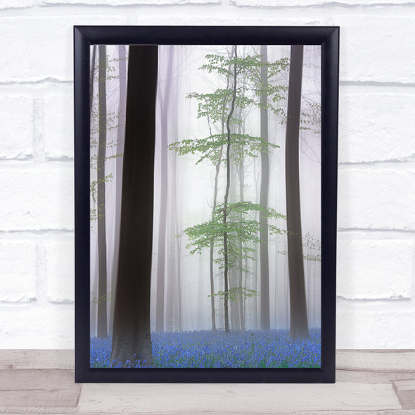 Foggy Forest Blue Green Bluebells Trunks Leaf Leaves Summer Wall Art Print