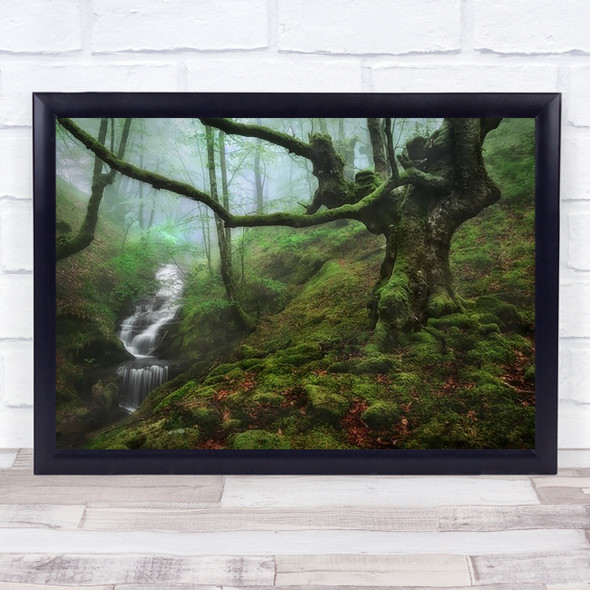 Forest Waterfall Water Moss Stream River Foliage Flowing Art Print