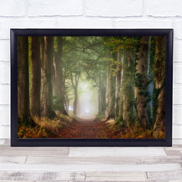 Forward Forest Trees Foggy Mist Atmospheric Gelderland Wall Art Print