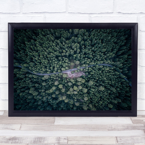 From Above Aerial Forest Trees Wood Green Perspective Road Way Wall Art Print