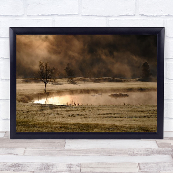 Gold Copper Mist Swans Lake Morning Sun Swan Bird Wildlife Wild Wall Art Print