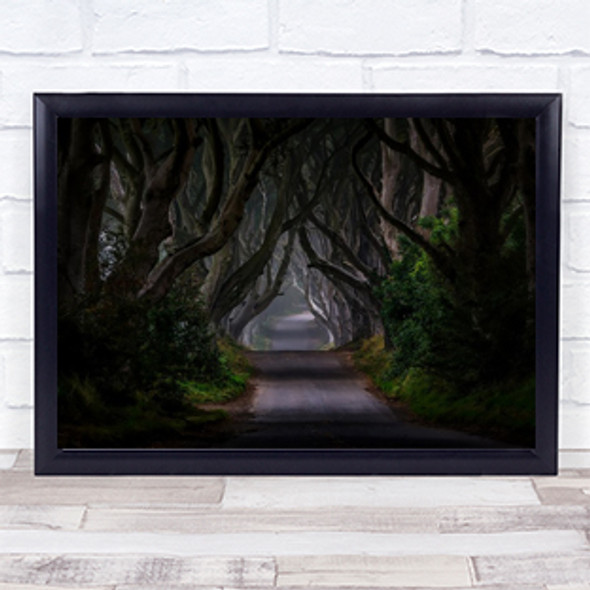 Hedges Magic Road Bregagh Ireland Irish Nature Shadow Wall Art Print