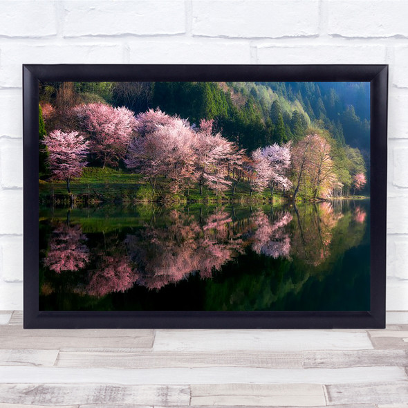 Lake Reflection Water Flower Spring Morning Trees Cherry Blossom Wall Art Print