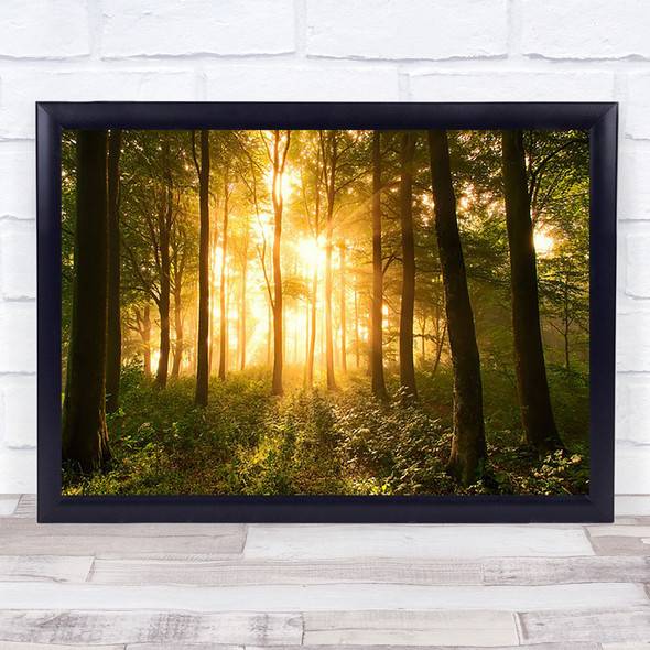 Light In The Forest Forest Trees Woods Denmark Green Yellow Gold Wall Art Print