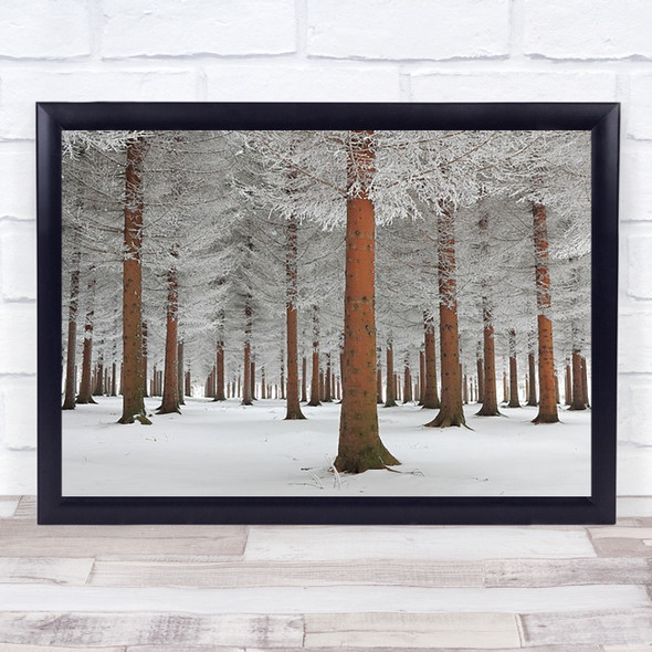 Magical Forest Snow Ice Mist White Tree Trees Fog Woods Wall Art Print