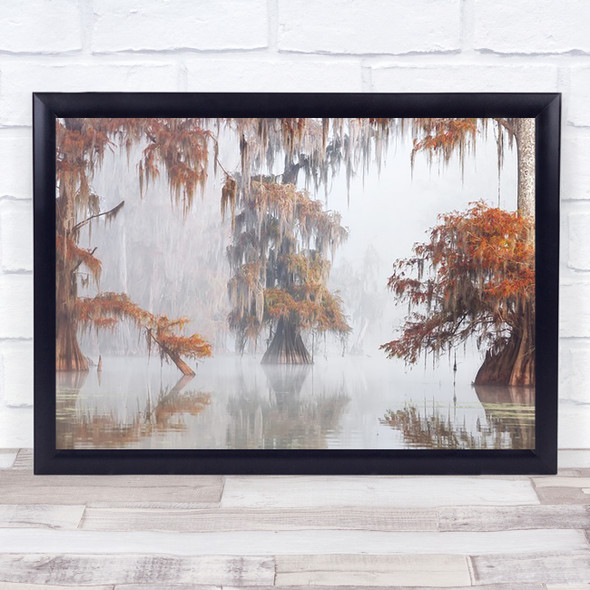 Misty Bayou Marsh Swamp Louisiana USA United States America Wall Art Print