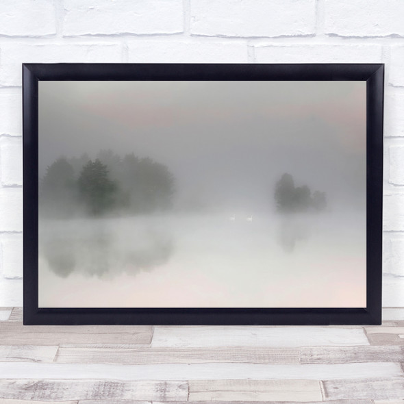 Misty Morning Sweden Swan Swans Lake Birds Mist Fog Haze Blur Wall Art Print