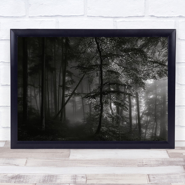 Morning Light Foliage Forest Path Road Way Atmosphere Wall Art Print