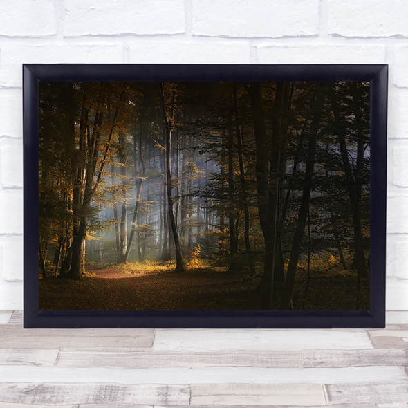 November Morning Forest Woods Tree Fall Autumn Wall Art Print