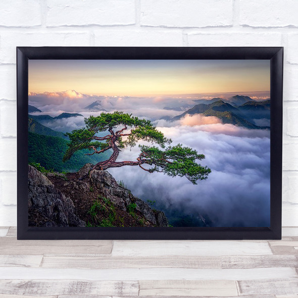 On The Rock Tree Cloud Sunrise Panorama Pine Bonsai Wall Art Print