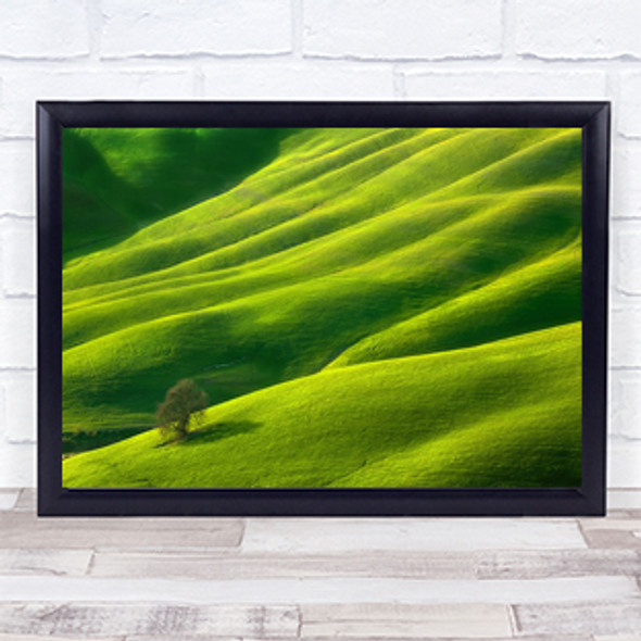 One Tuscany Italy Tree Fields Spring Green Field Lonely Wall Art Print