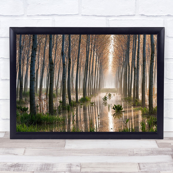 Rains Of Spring Water Trees Alley Reflection Lines Tall High Spiritual Art Print