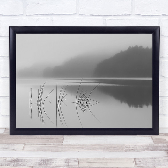 Reed Lake Water Calm Still Serene Serenity Fog Wall Art Print