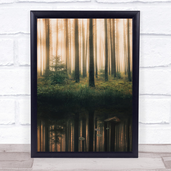 Reflection in the foggy forest Trunks Water Woods Wall Art Print