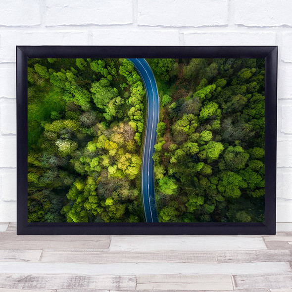 Road in the forest Aerial Green Trees Woods Way Perspective Wall Art Print