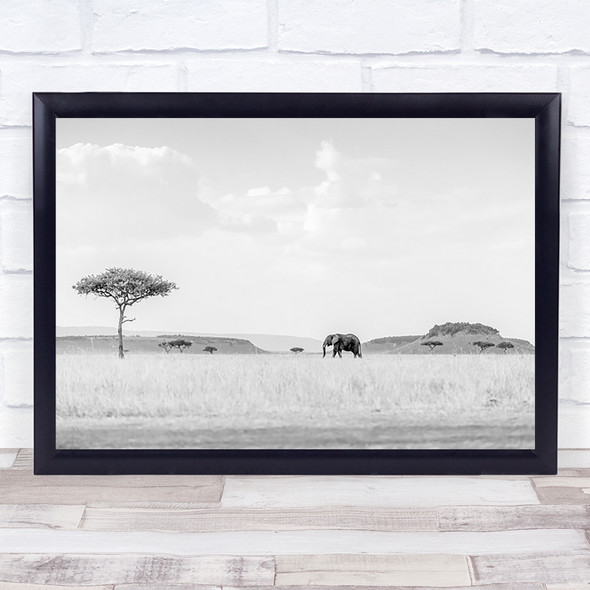 Savannah Elephant Wildlife Africa Safari Wild Nature Animals Wall Art Print