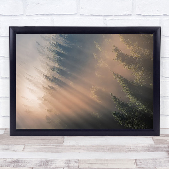 Signs of Autumn Light Rays Ray Beam Fog Wall Art Print