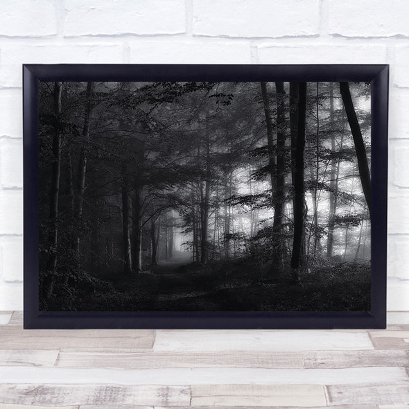 Solitary Forest Atmosphere Light Road Path Way Foliage Wall Art Print