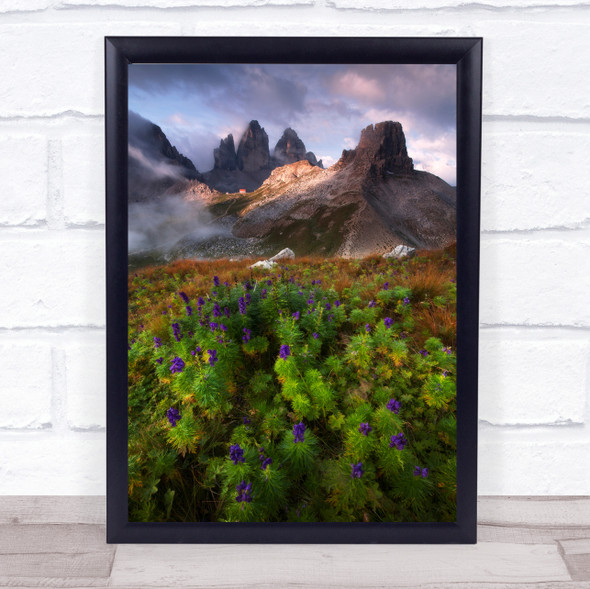 Summer Paradise Italy Alps Dolomites Flowers Mountains Wall Art Print
