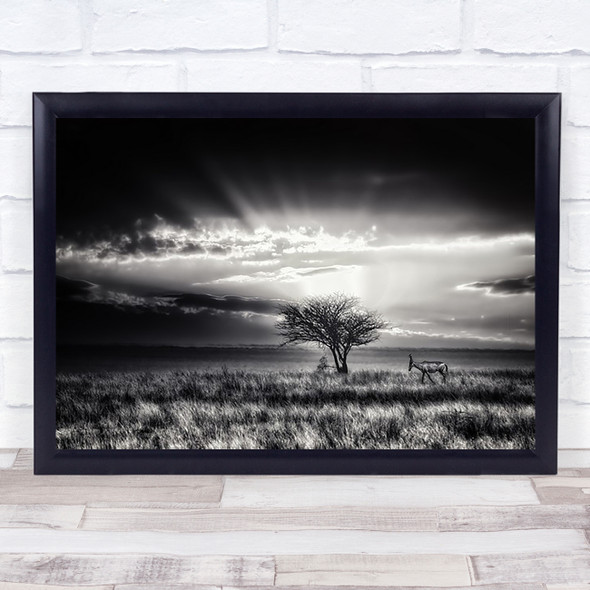 Sunrise Wildlife Africa Mammal Safari Antelope Sky Wall Art Print