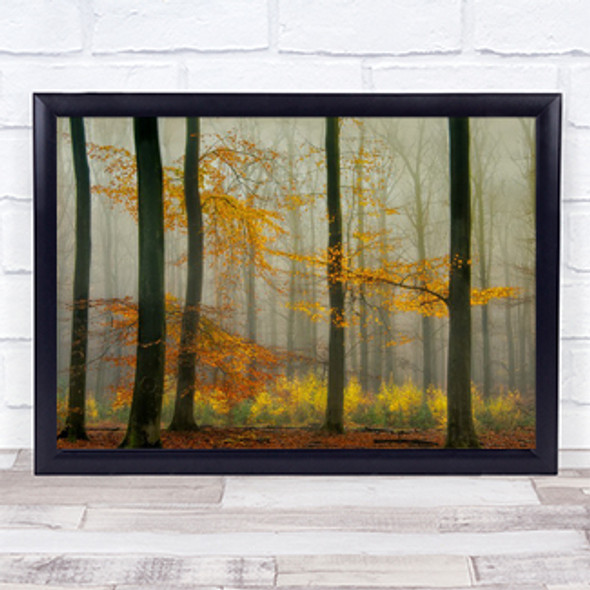 The Latest Autumn Colours Forest Trees Fog Mist Haze Fall Season Wall Art Print