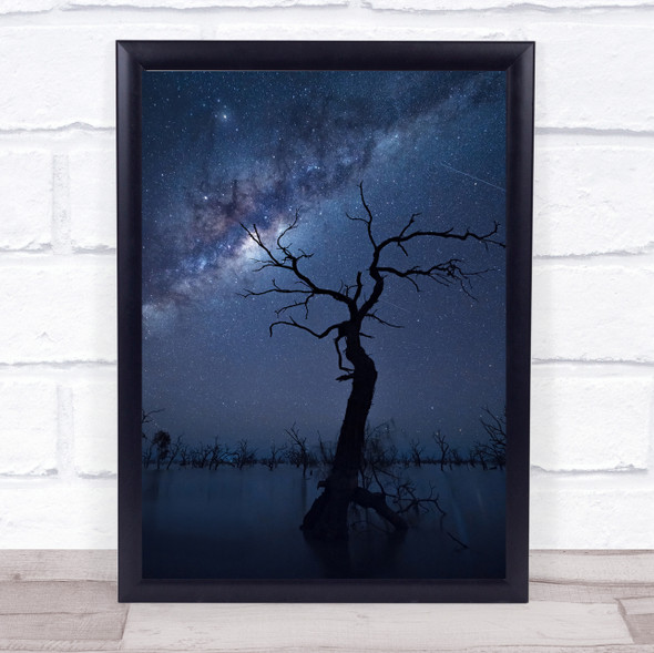 The Tree Australia Mungo Lake Milky Way Sky Astronomy Night Stars Wall Art Print