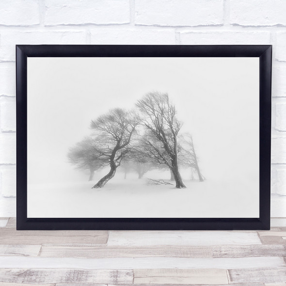 Together Trees Beeches Bend Misty Fog Ice Winter Broken Wall Art Print