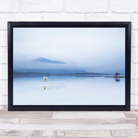 Tranquillity Lake Calm Swan Bird Ireland Reflection Flight Blue Wall Art Print