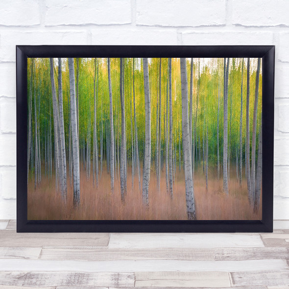 Tree Trees Woods Forest Birch Birches Abstract Wall Art Print