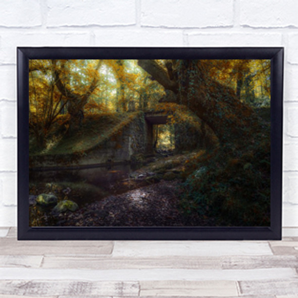 Ucieda Forest Tree Autumn Tunnel Trees Oak Oaks Beech Wall Art Print