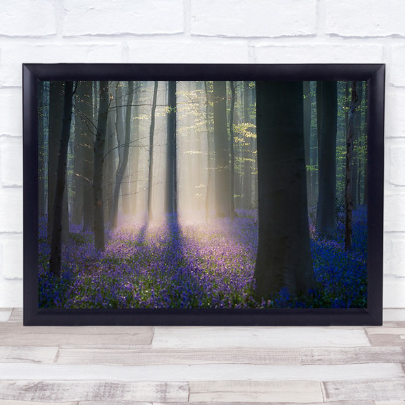 Velvet Light Bluebells Forest Woods Spring Blooming Flowers Blue Art Print