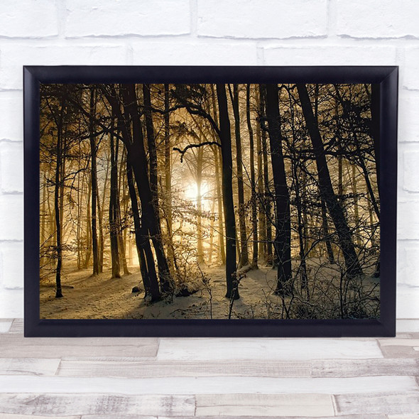 Winter Morning Forest Trees Woods Sun Sunset Snow Wall Art Print