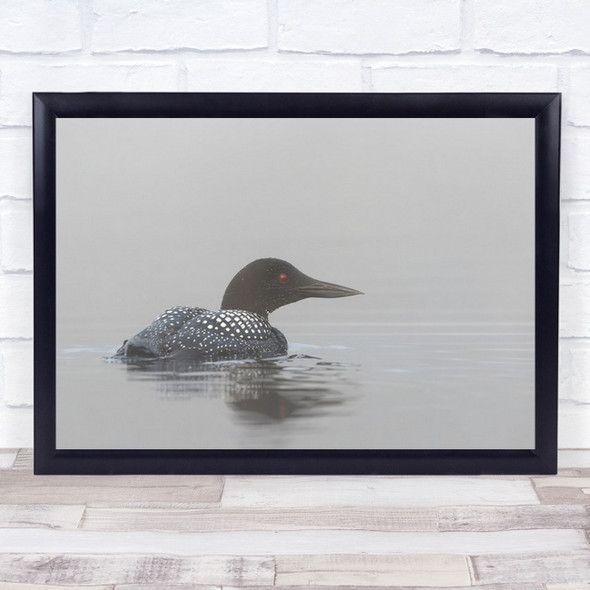 Early Morning Fog Water Lake Canada Mist Nature Wildlife Wall Art Print