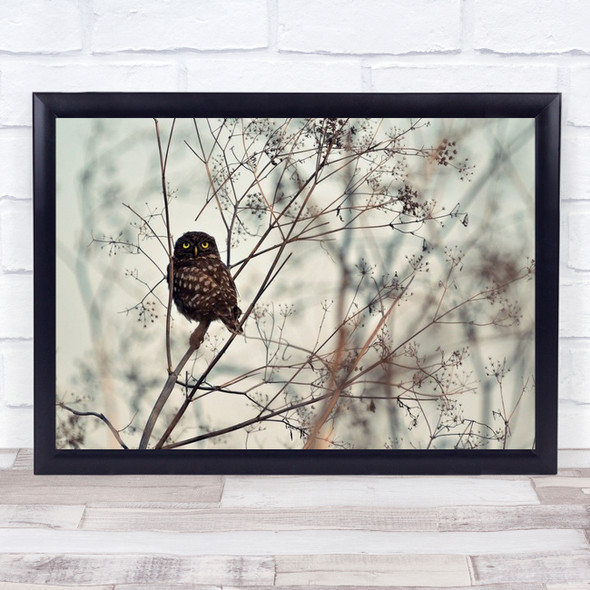 Look At Me Owl Bird Animal Wildlife Bokeh Sitting Eyes Wall Art Print