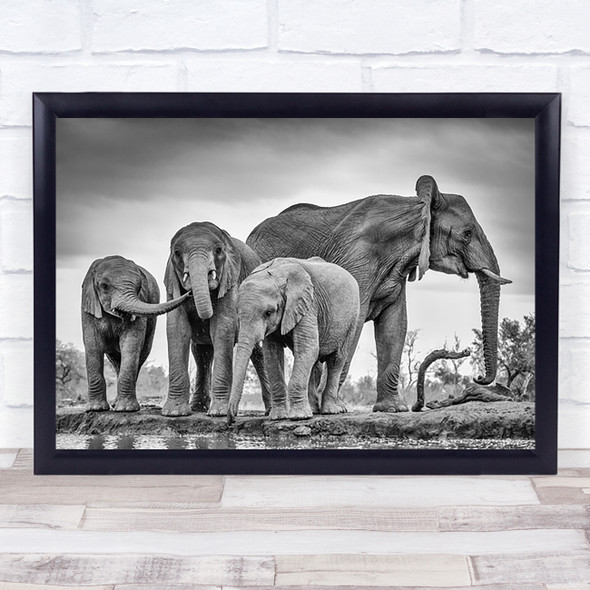 A Giant Unity Nature Animal Elephant Mother Cub Trunk Drinking Wild Art Print