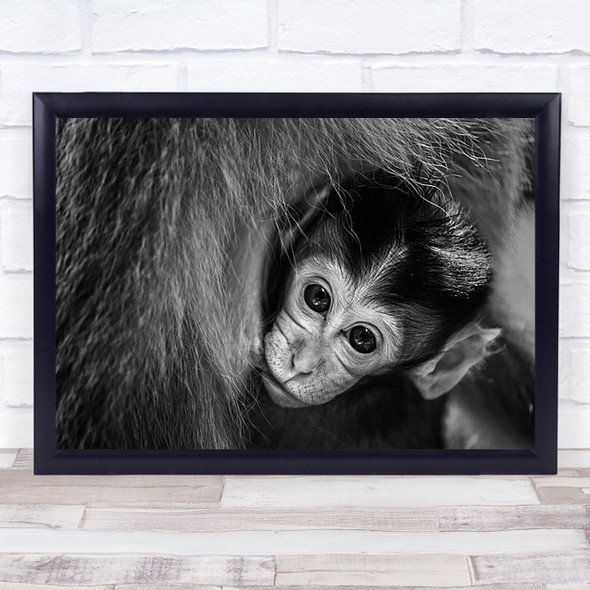 A Mother's Love Eat Drink Hungry Thirsty Baby Cute Ape Monkey Wall Art Print