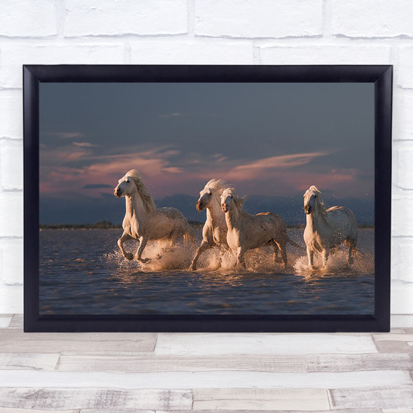 Angels Of Camargue Horse France Sunset Action Splash Water Run Running Art Print