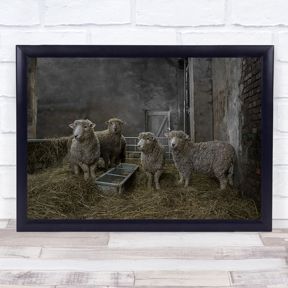 Animals Farm Farming Agriculture Sheep Hay Cattle Livestock Wall Art Print