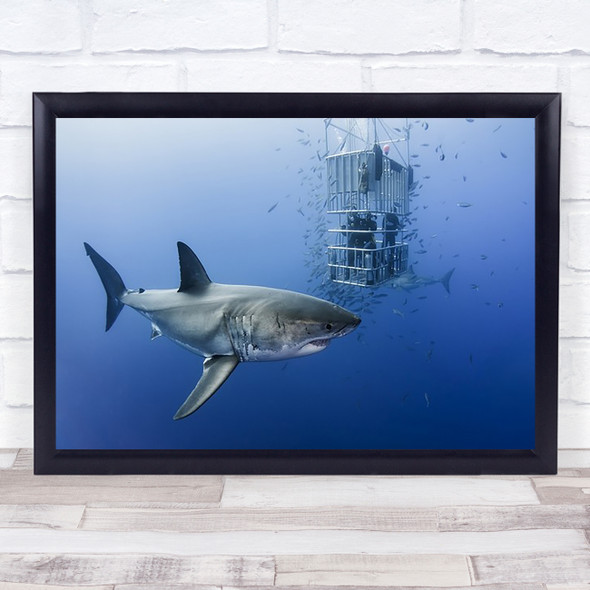 Animals In Cage Shark Fish Underwater Animal Divers Wall Art Print