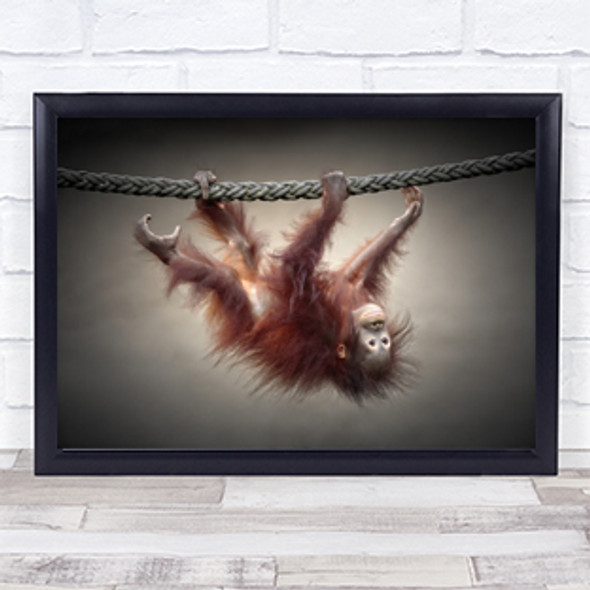Ape Monkey Climbing Gravity Rope Animal Bokeh Wall Art Print
