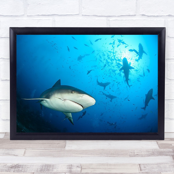 Beqa Shark Labs Underwater Sharks Surface Deep Fish Below Hook Light Art Print